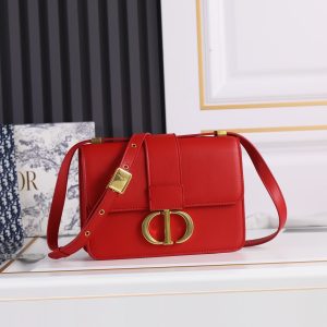 DIOR Montaigne Bag