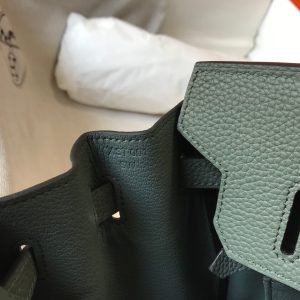 Hermes Birkin Almond Green vs. Other Birkin Colors